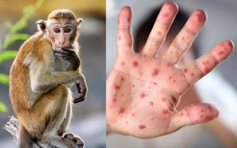 Chủ động phòng ngừa lây nhiễm bệnh Đậu mùa khỉ trên động vật trên địa bàn thành phố Hạ Long
