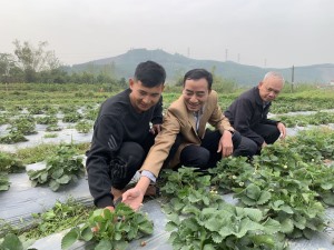 Nông dân xã Sơn Dương thi đua sản xuất kinh doanh giỏi